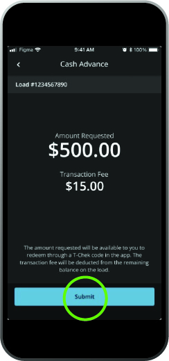 cash advance screenshot