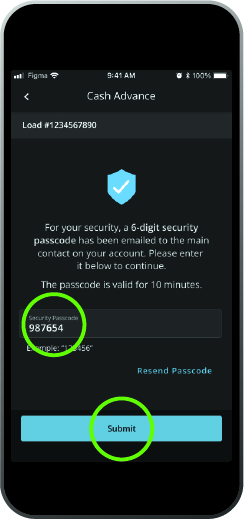 cash advance screenshot 